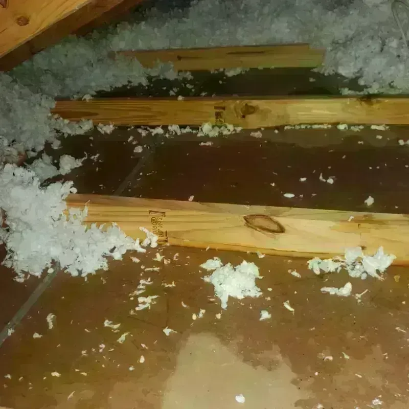 Attic Water Damage in McKee, KY